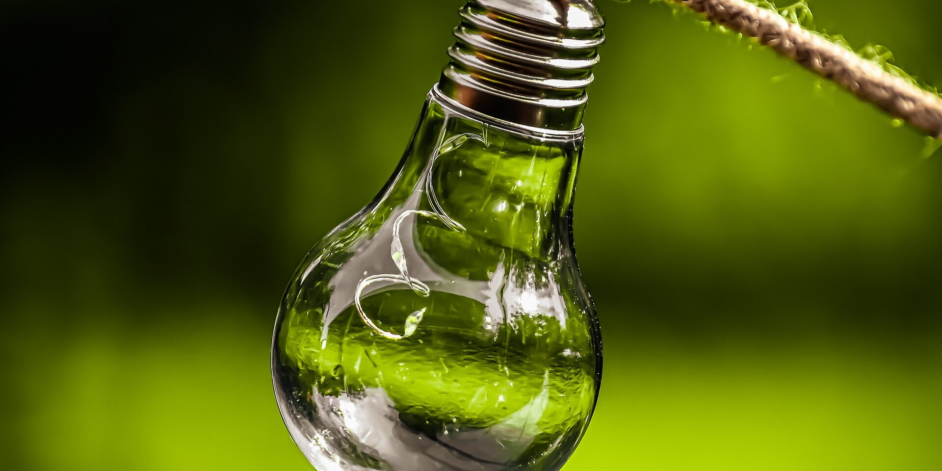 light-bulb-5259340_1920